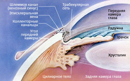 Глаукома описание